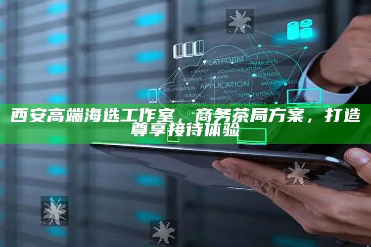 尊享商务茶局，西安高端海选工作室的定制接待方案