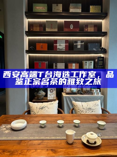 西安高端T台海选工作室，品鉴正宗名茶的雅致之旅