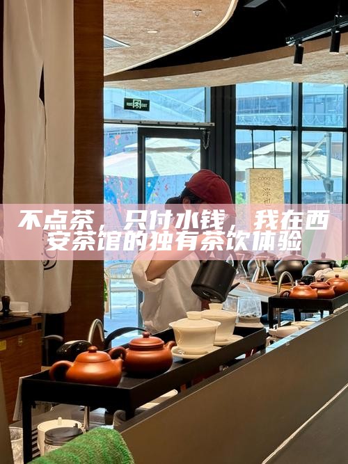不点茶，只付水钱，我在西安茶馆的独有茶饮体验